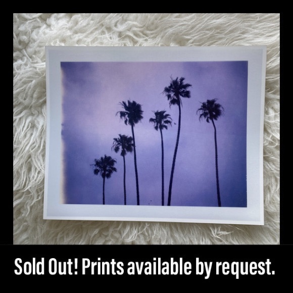 Tree Branches Leaf Leaves Art Print Original Photography Professional Decor Wall - Picture 3 of 4